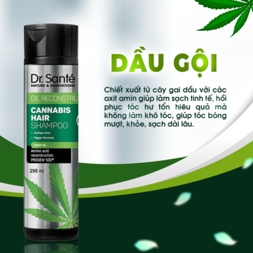 Dầu gội chăm sóc tóc chuyên sâu, phục hồi hư tổn - Cannabis Hair (Balan). Tạm hết